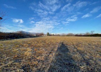 terreno - Terreno agricolo via Savona, 3, Rivalta di Torino - foto 9