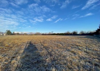 terreno - Terreno agricolo via Savona, 3, Rivalta di Torino - foto 10