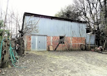 Capannone - Villa Ostra - foto 4