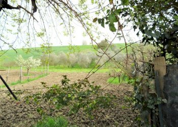 esterno - Villa Ostra - foto 5