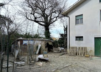 Esterno - Villa Ostra - foto 8