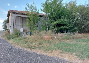 capannoni agricoli - Rustico Ozzano dell'Emilia - foto 4