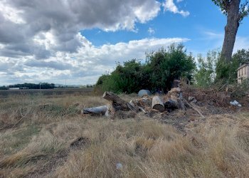 corte privata - Rustico Ozzano dell'Emilia - foto 5