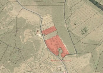 Terreno agricolo contrada Croce D'Alli, Bisignano, Bisignano - foto 4