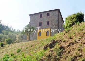 DSC06238.JPG - Casale via del castello, Villa Basilica - foto 4