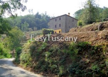 DSC06239.JPG - Casale via del castello, Villa Basilica - foto 5