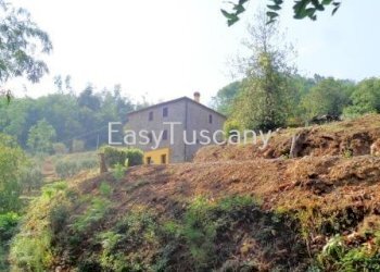 DSC06240.JPG - Casale via del castello, Villa Basilica - foto 6