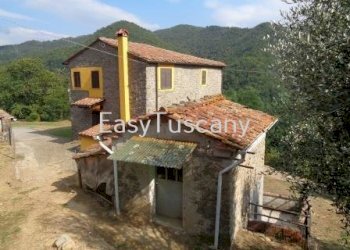 DSC06250.JPG - Casale via del castello, Villa Basilica - foto 11