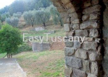 DSC06291.JPG - Casale via del castello, Villa Basilica - foto 14