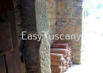 DSC06295.JPG - Casale via del castello, Villa Basilica - foto 18