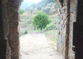 DSC06296.JPG - Casale via del castello, Villa Basilica - foto 19