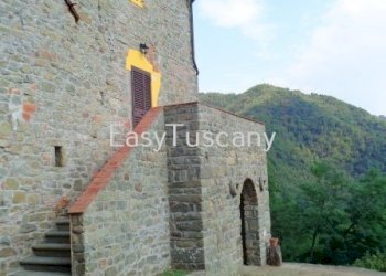 DSC06303.JPG - Casale via del castello, Villa Basilica - foto 26