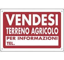 download.jpeg - Terreno agricolo Pietrasanta - foto 1