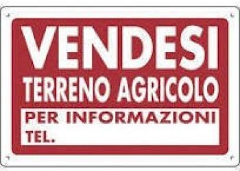 download.jpeg - Terreno agricolo Pietrasanta - foto 1