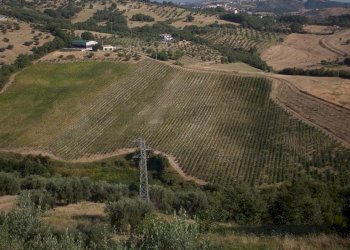 Terreno agricolo Montalto Uffugo - foto 1