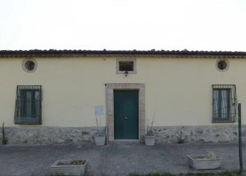 Terreno agricolo Montalto Uffugo - foto 5