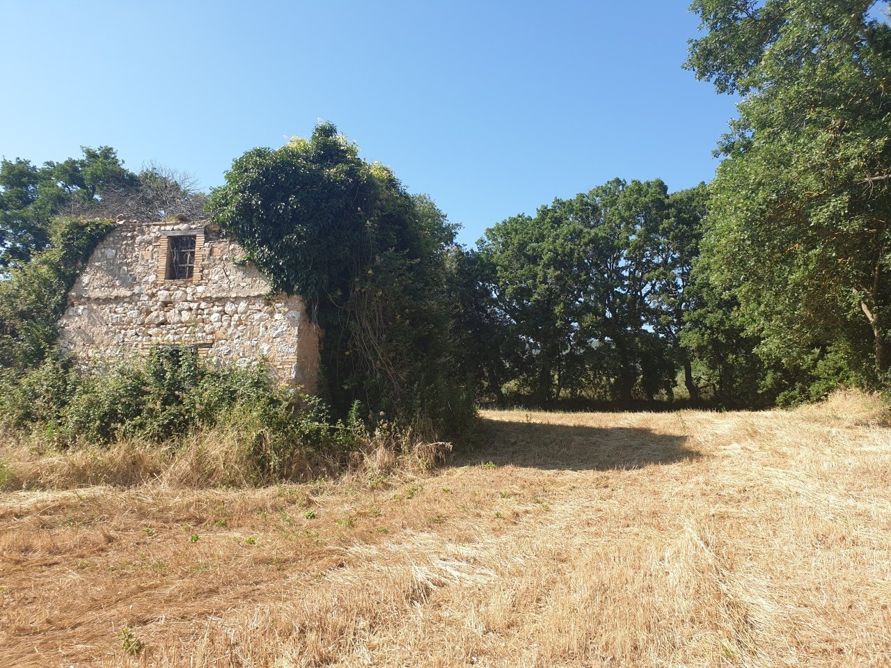 20190627_165935 - Copia.jpg - Rustico strada di vagli, Lugnano in Teverina - foto 1