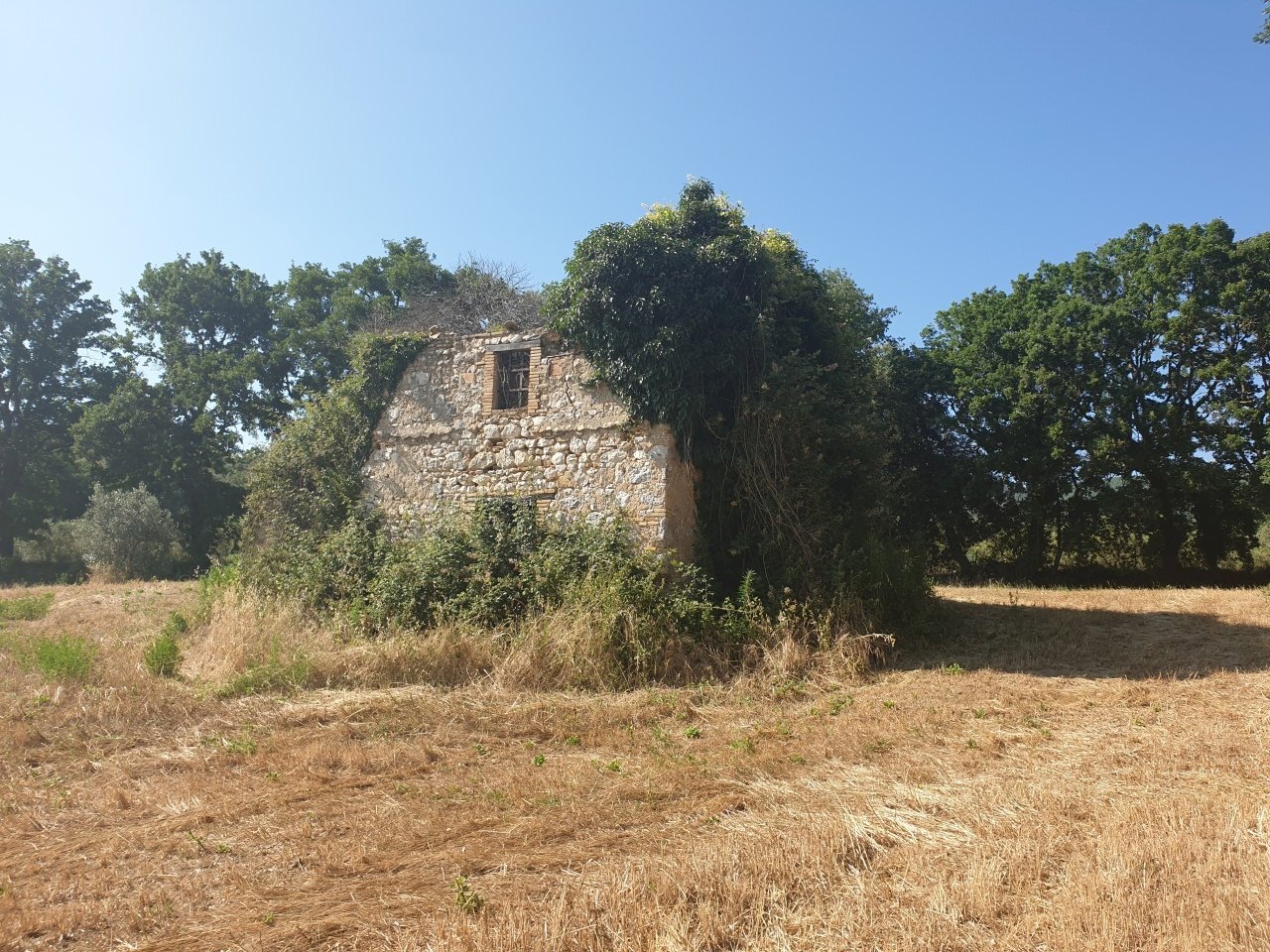 20190627_165933 - Copia.jpg - Rustico strada di vagli, Lugnano in Teverina - foto 3