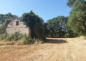 20190627_165935 - Copia.jpg - Rustico strada di vagli, Lugnano in Teverina - foto 1