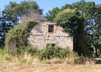 20190627_165915 - Copia.jpg - Rustico strada di vagli, Lugnano in Teverina - foto 2