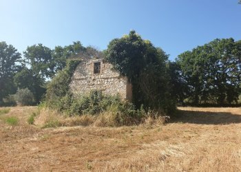 20190627_165933 - Copia.jpg - Rustico strada di vagli, Lugnano in Teverina - foto 3