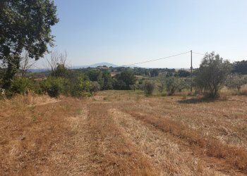 20190627_165939 - Copia.jpg - Rustico strada di vagli, Lugnano in Teverina - foto 4