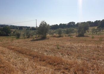 20190627_165941.jpg - Rustico strada di vagli, Lugnano in Teverina - foto 5