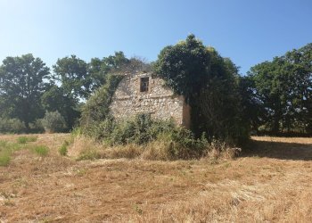 20190627_165944.jpg - Rustico strada di vagli, Lugnano in Teverina - foto 6