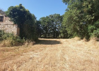 20190627_165946.jpg - Rustico strada di vagli, Lugnano in Teverina - foto 7
