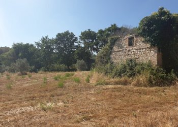 20190627_165948.jpg - Rustico strada di vagli, Lugnano in Teverina - foto 8