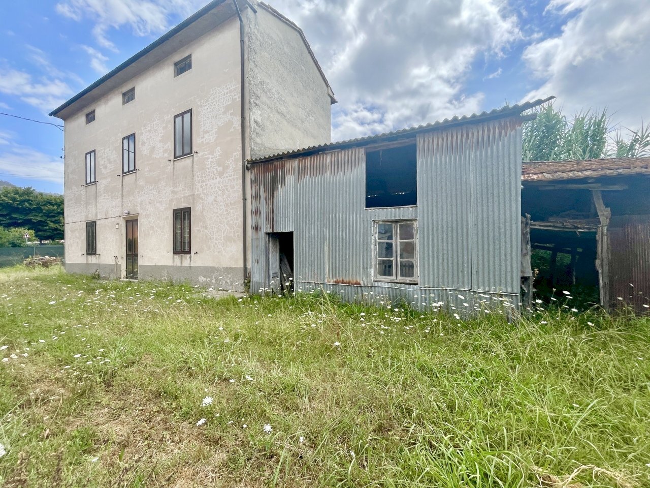 IMG_7202.JPG - Rustico Massarosa - foto 1