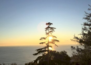 Trilocale Via alla Scuola di Agricoltura, Genova - foto 27