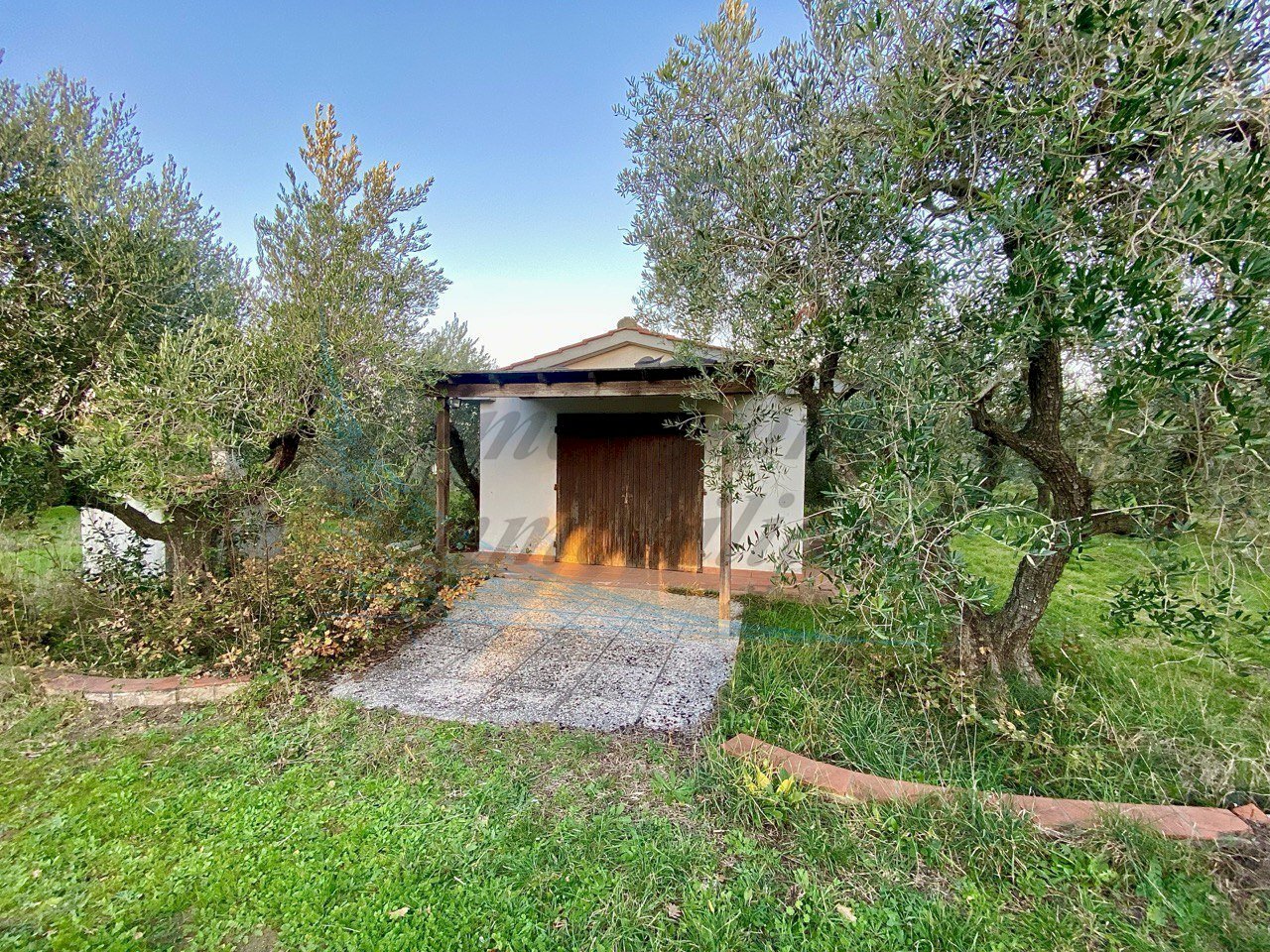 photo_5818674435828335239_y.jpg - Terreno agricolo Via del Terminone, Cecina - foto 3