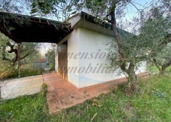 photo_5818674435828335237_y.jpg - Terreno agricolo Via del Terminone, Cecina - foto 2