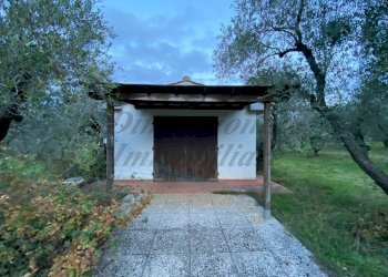 photo_5800809304612257663_y.jpg - Terreno agricolo Via del Terminone, Cecina - foto 5