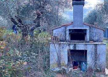 photo_5800809304612257658_y.jpg - Terreno agricolo Via del Terminone, Cecina - foto 8