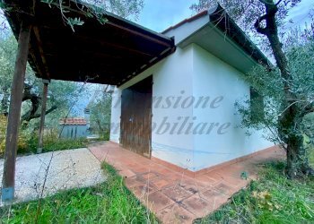 photo_5800809304612257672_y.jpg - Terreno agricolo Via del Terminone, Cecina - foto 9