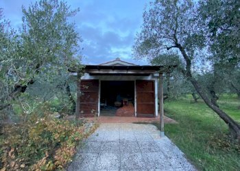 photo_5800809304612257667_y.jpg - Terreno agricolo Via del Terminone, Cecina - foto 10