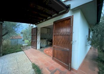 photo_5800809304612257664_y.jpg - Terreno agricolo Via del Terminone, Cecina - foto 11