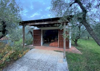 photo_5800809304612257666_y.jpg - Terreno agricolo Via del Terminone, Cecina - foto 12