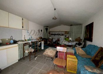 photo_5800809304612257668_y.jpg - Terreno agricolo Via del Terminone, Cecina - foto 13