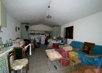 photo_5800809304612257669_y.jpg - Terreno agricolo Via del Terminone, Cecina - foto 14