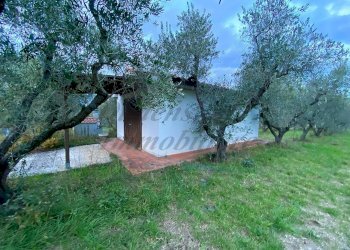 photo_5800809304612257673_y.jpg - Terreno agricolo Via del Terminone, Cecina - foto 15