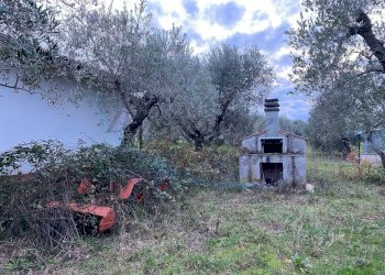 photo_5800809304612257684_y.jpg - Terreno agricolo Via del Terminone, Cecina - foto 16