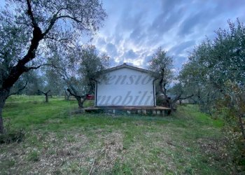 photo_5800809304612257678_y.jpg - Terreno agricolo Via del Terminone, Cecina - foto 23