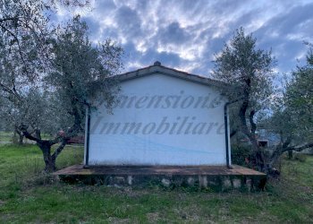 photo_5800809304612257679_y.jpg - Terreno agricolo Via del Terminone, Cecina - foto 24