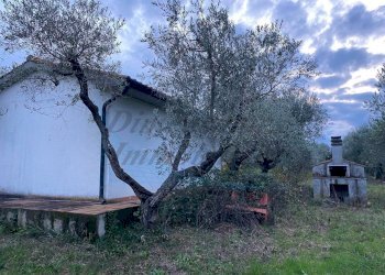 photo_5800809304612257680_y.jpg - Terreno agricolo Via del Terminone, Cecina - foto 25