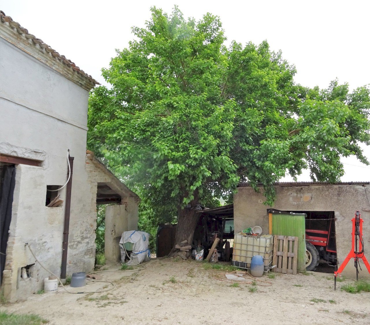 esterno - Independent house Senigallia - photo 3