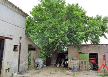 esterno - Casa indipendente Senigallia - foto 3