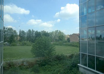 Office Ferrara - photo 36
